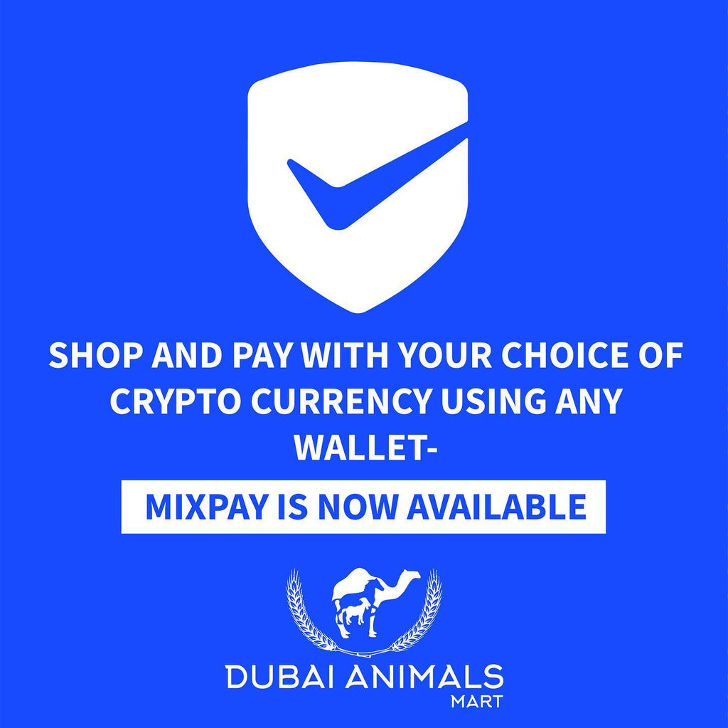 Dubai Animals Mart and MixPay Makes It Easy to Buy Pet Food for your Pet with any Crypto Currency