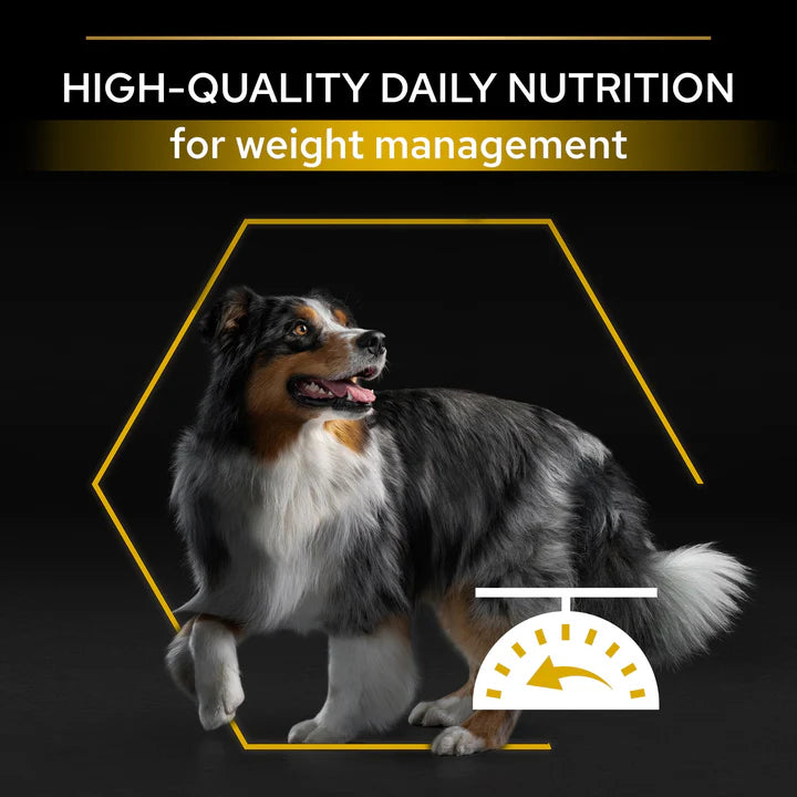 Pro Plan All Size Adult Light Sterilised Dog Chicken