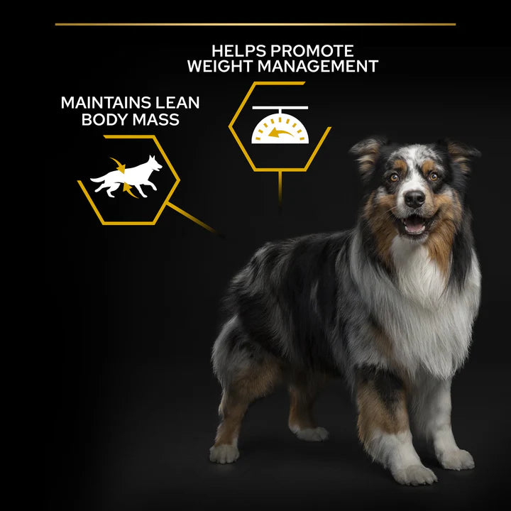 Pro Plan All Size Adult Light Sterilised Dog Chicken