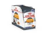 Royal Canin Intense Beauty in Jelly Wet Food Pouches