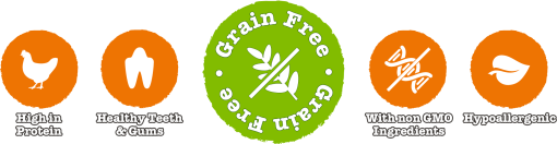 Little BigPaw British Chicken Dry Kitten Food 1.5kg