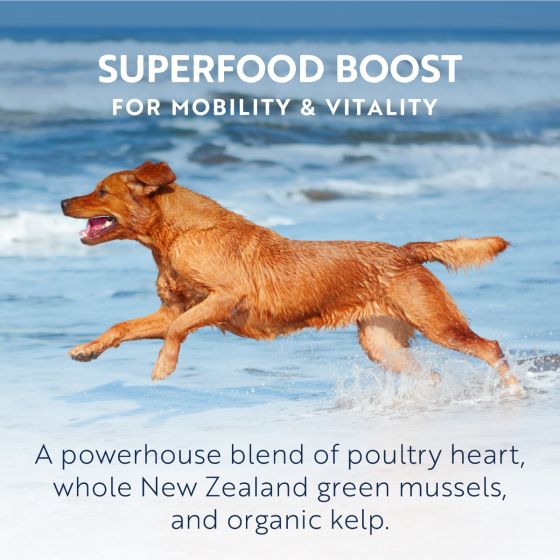 ZiwiPeak Beef Recipe Canned Dog Food 170g