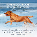 ZiwiPeak Beef Recipe Canned Dog Food 170g