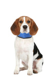 Flamingo Dog Cooling Bandana