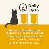 Applaws Chicken with Lamb in Jelly Adult Wet Cat Food 70g Pouch