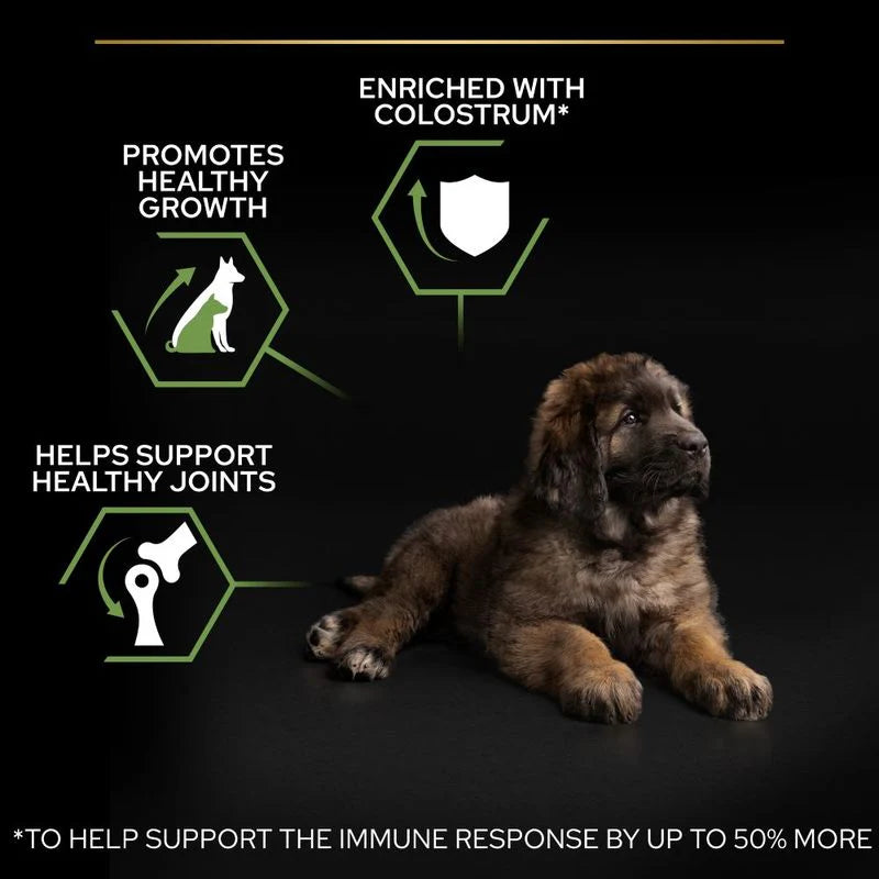 Pro Plan Large Robust Puppy Chicken