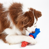 FOFOS Aqua Lighthouse Fetch Dog Toy