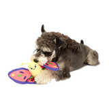 FOFOS Butterfly Reversible Crinkle Dog Toy