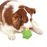FOFOS Dinosaur Ball Latex Dog Toy