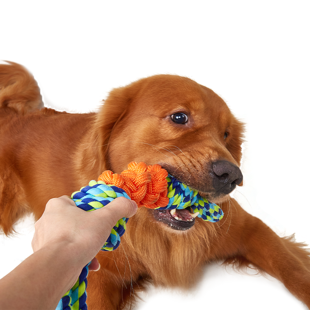 FOFOS Flossy Rope Tug OrangeBlue Dog Toy