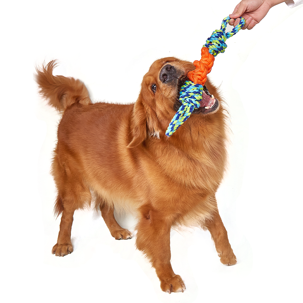 FOFOS Flossy Rope Tug OrangeBlue Dog Toy