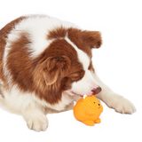 FOFOS Fox Ball Latex Dog Toy