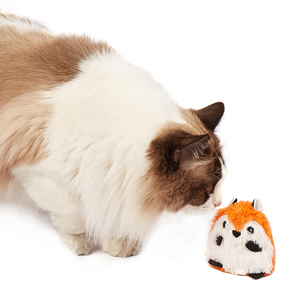 FOFOS Fox Floppy Crinkle Cat Toy