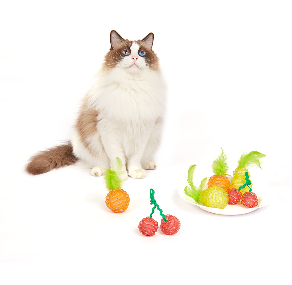 FOFOS Fruity Netting Ball Assorted Display Box 24pcs