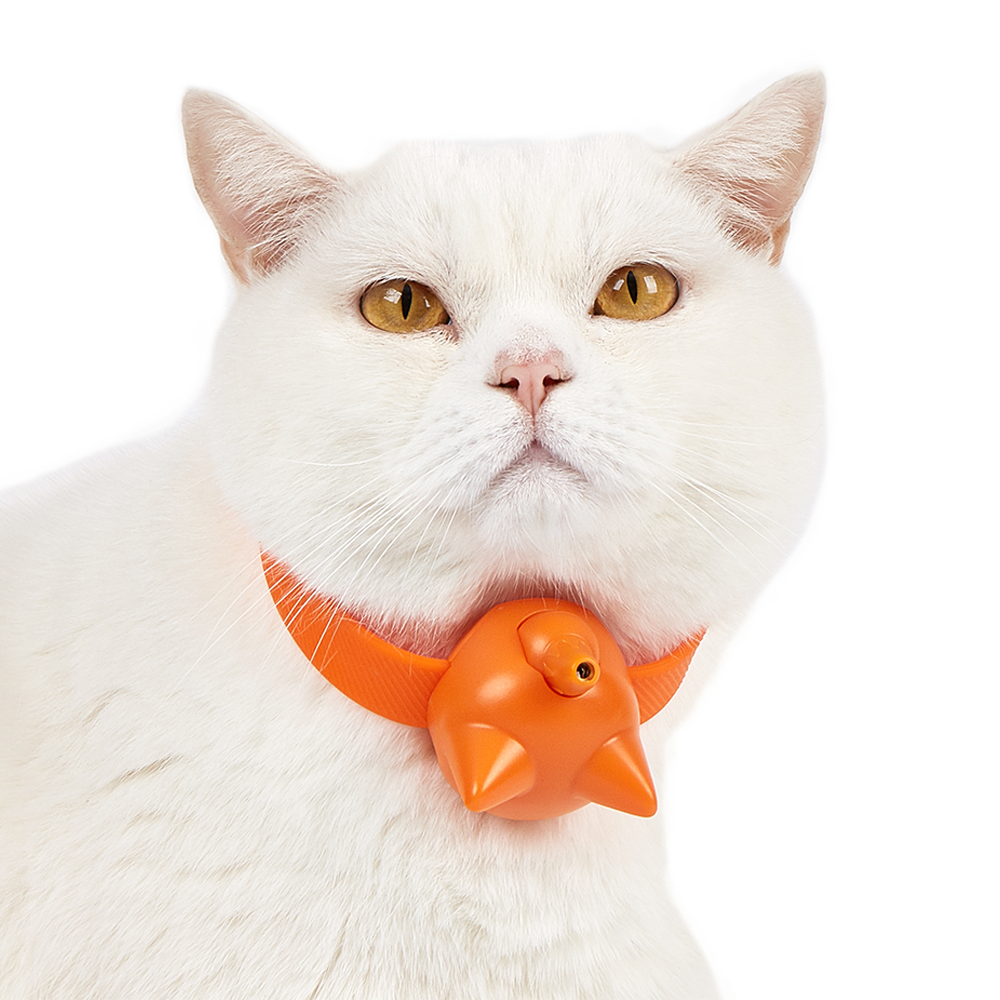 FOFOS Laser Cat Collar