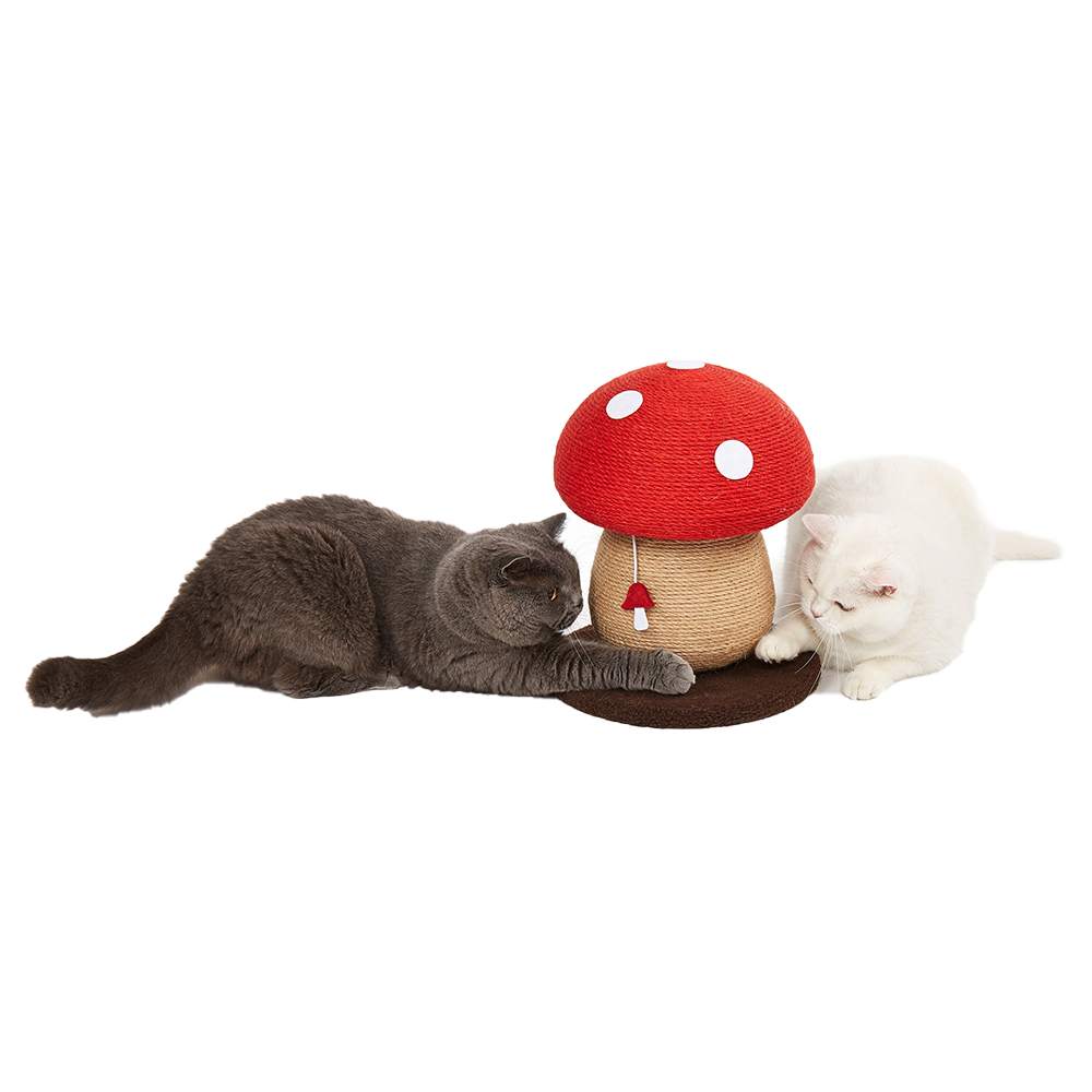 FOFOS Mushroom Cat Scratcher