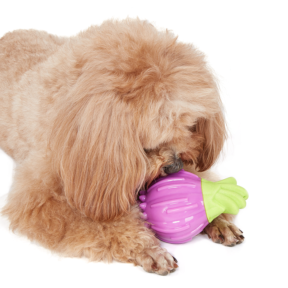 FOFOS Onion Giggling Vegi-Bites Dog Toy