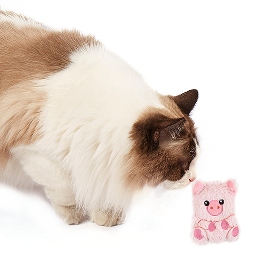 FOFOS Pig Floppy Crinkle Cat Toy
