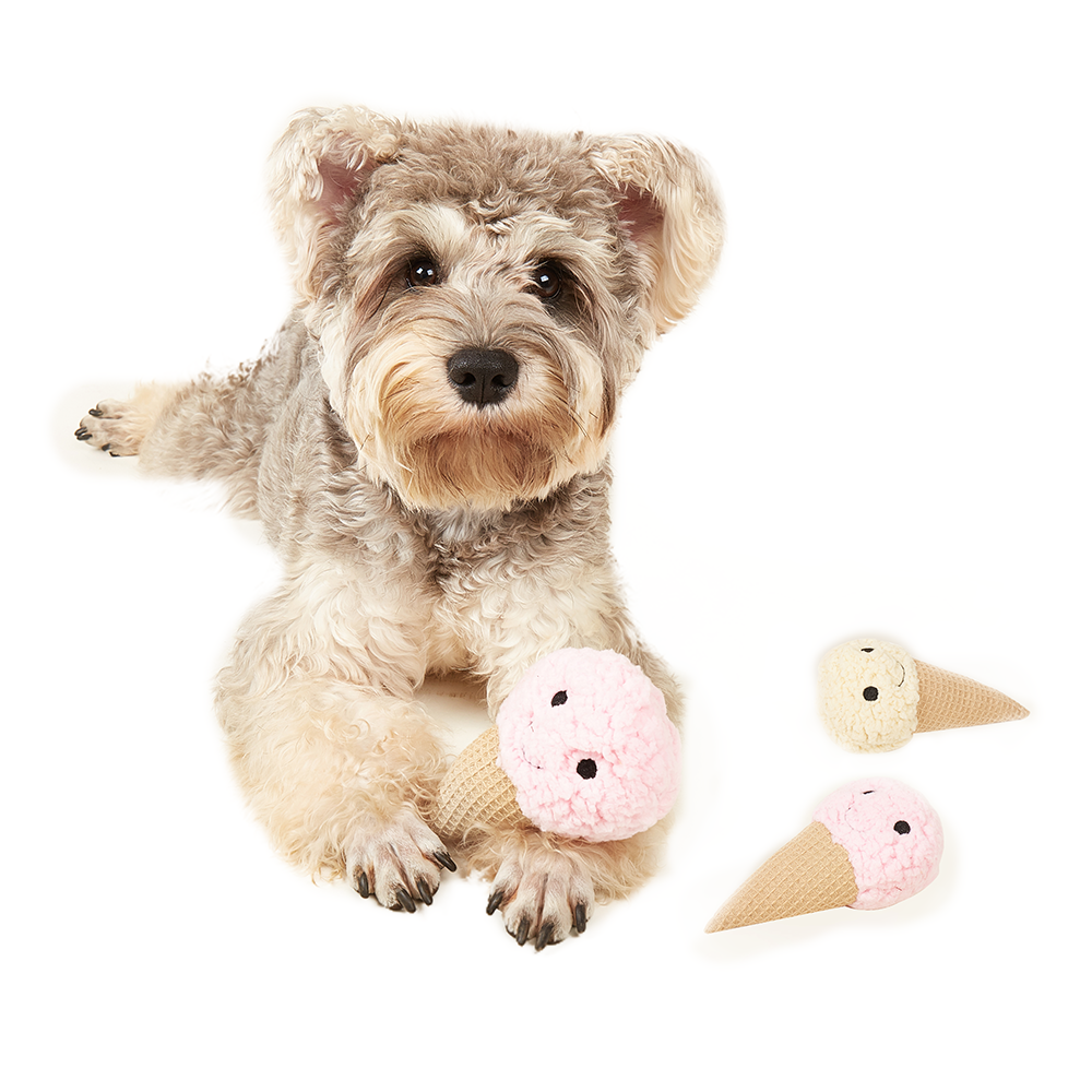 FOFOS Plush Ice Cream Dog Toy Display Box 15pcs