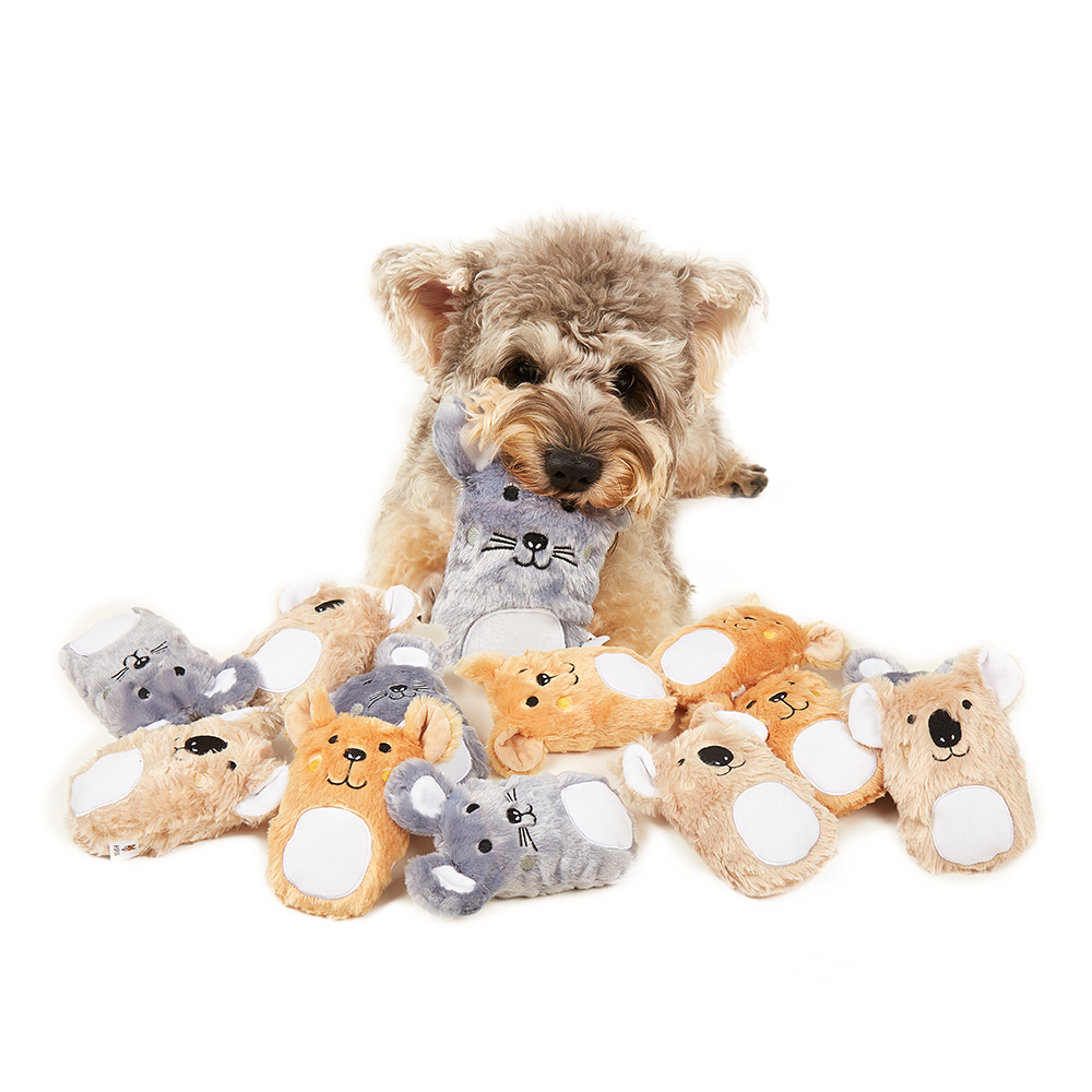 FOFOS Plush Puppy Toy Display Box 12pcs