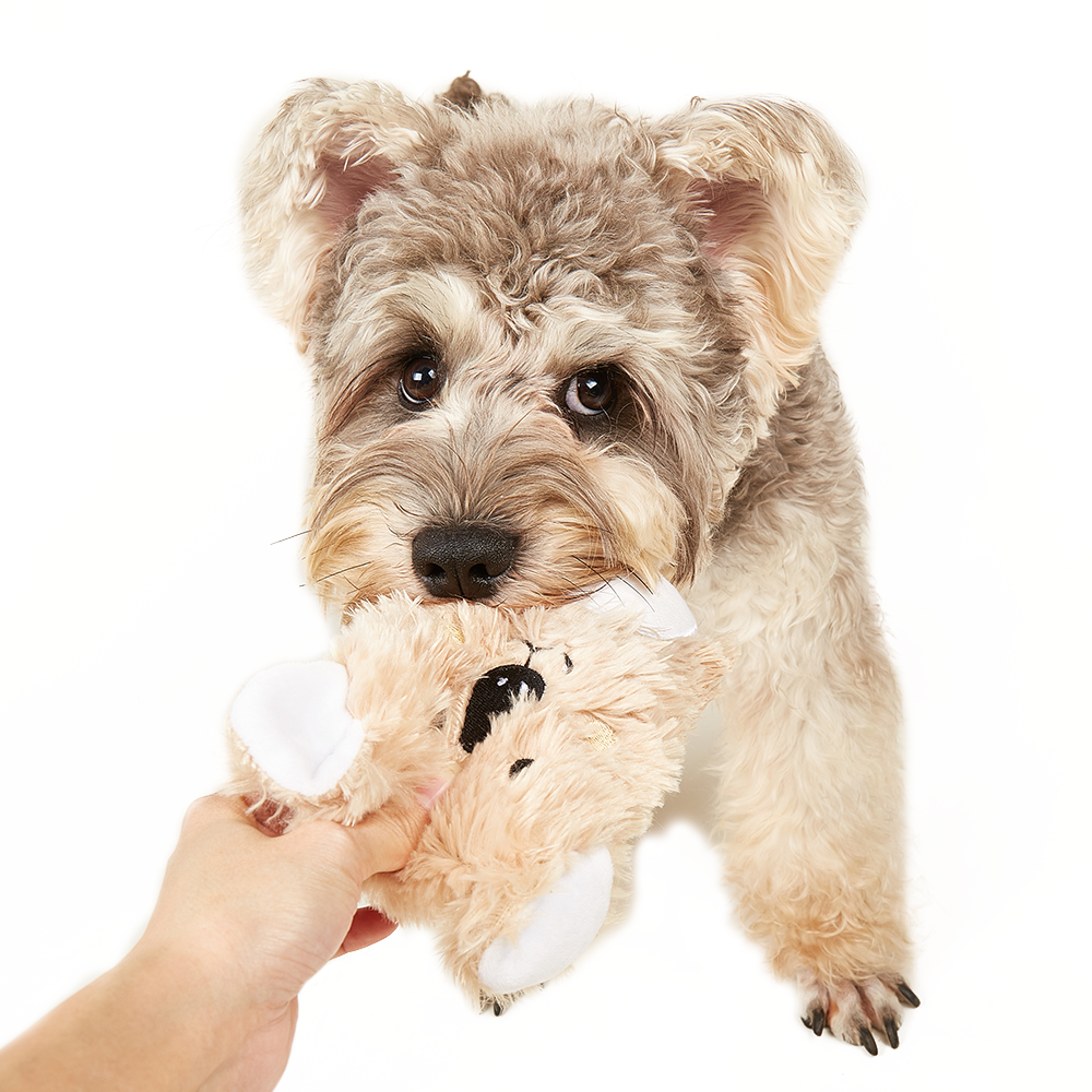 FOFOS Plush Puppy Toy Display Box 12pcs