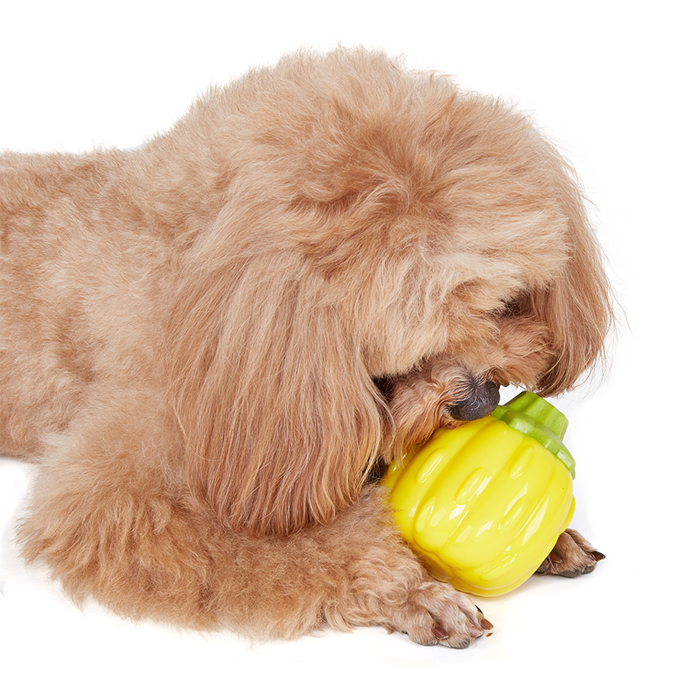 FOFOS Pumpkin Giggling Vegi-Bites Dog Toy