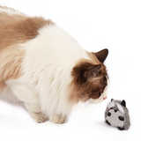 FOFOS Raccoon Floppy Crinkle Cat Toy