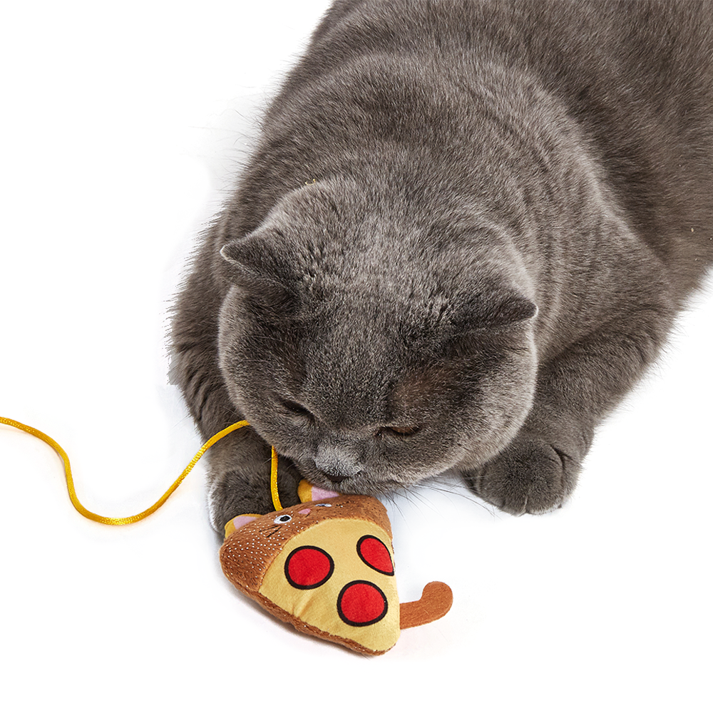 FOFOS Replaceable Meow Fast Food Cat Wand Cat