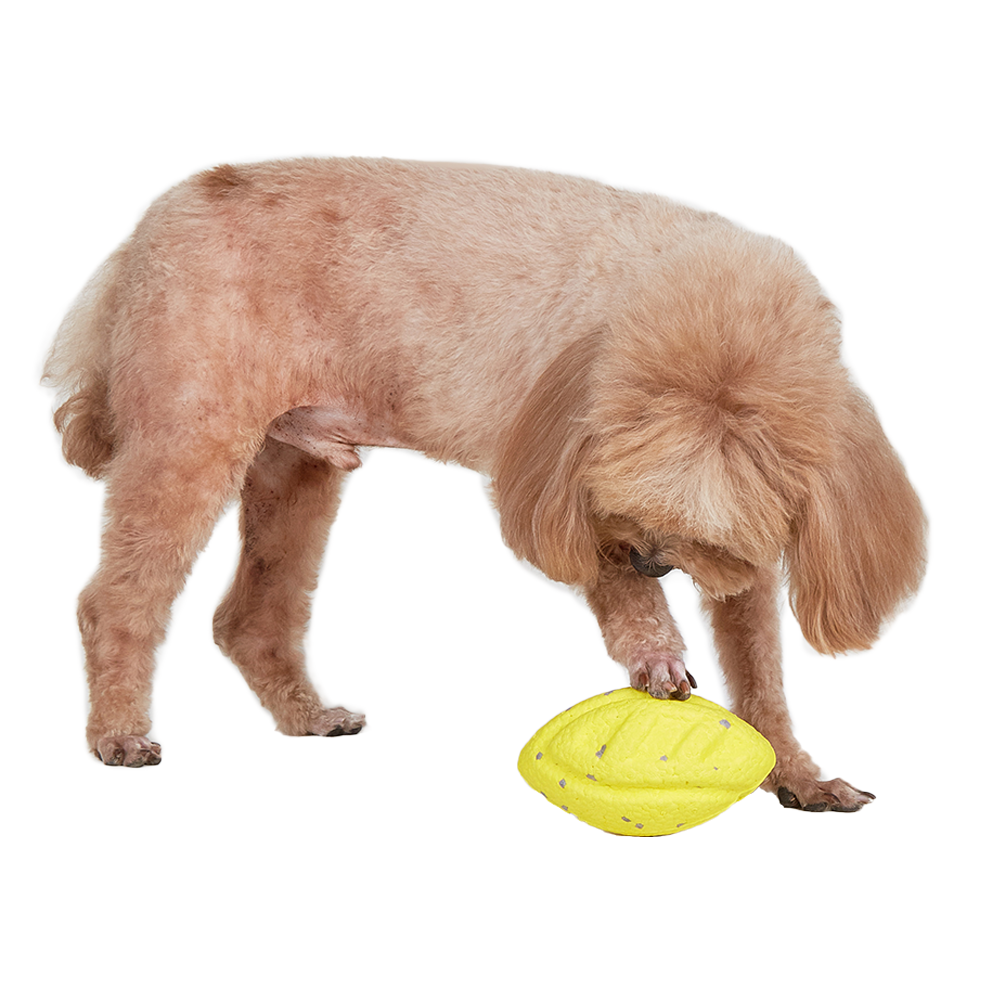 FOFOS Rugby Ball Fetch Dog Toy Yellow