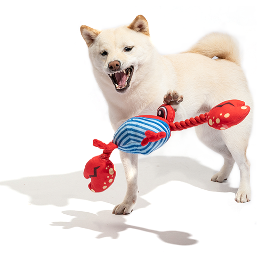 FOFOS Sealife Crab Dog Toy