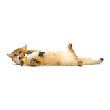 FOFOS Sound Chip Eagle with Catnip Balls Cat Toy