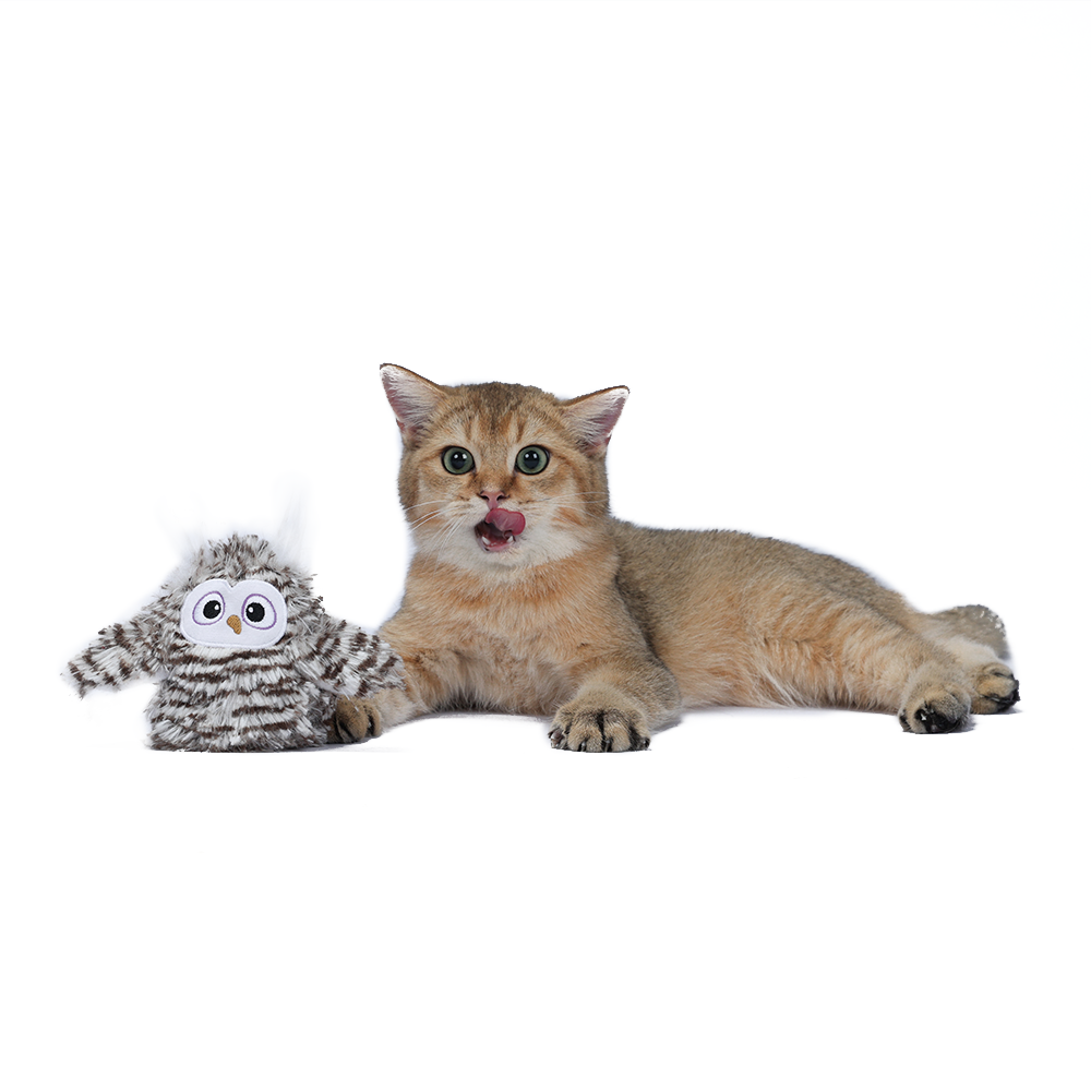 FOFOS Swinging Owl Interactive Cat Toy