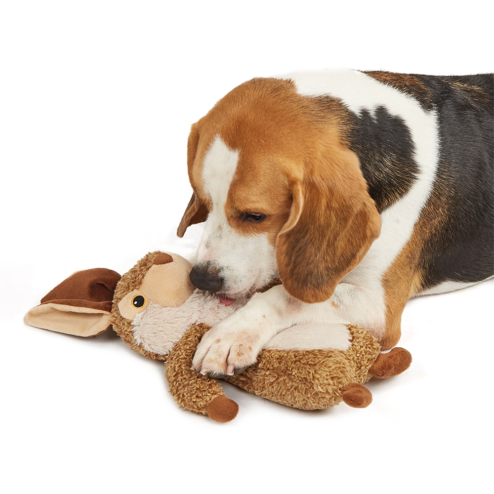 FOFOS Wildlife Plush Rabbit Dog Toy
