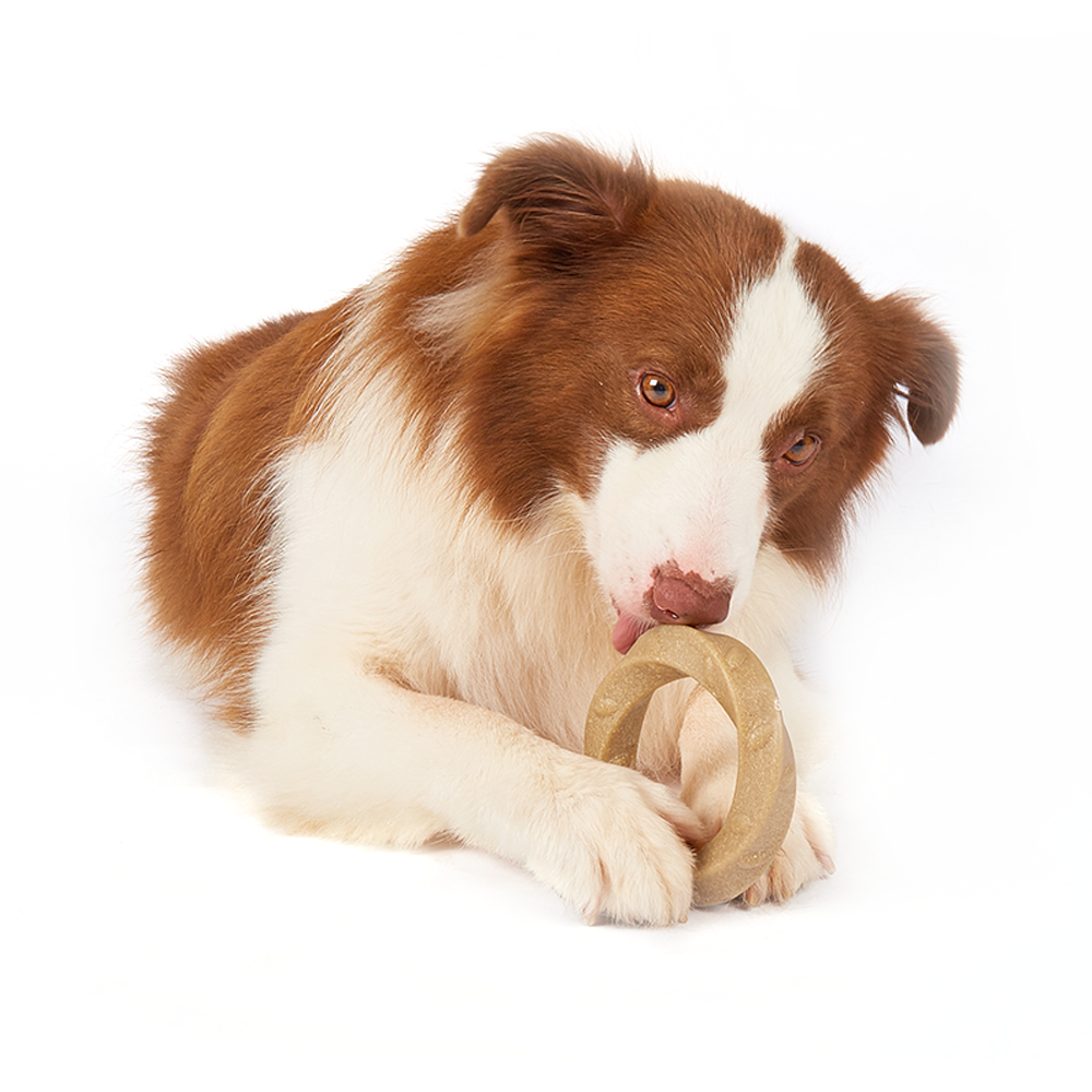 FOFOS Woodplay Ring Dog Toy
