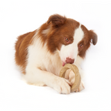 FOFOS Woodplay Ring Dog Toy