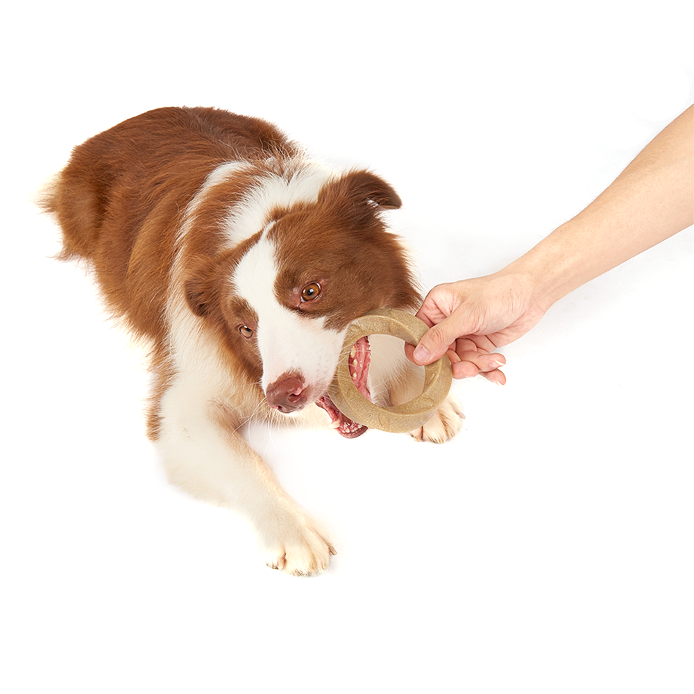 FOFOS Woodplay Ring Dog Toy