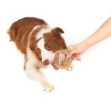 FOFOS Woodplay Ring Dog Toy
