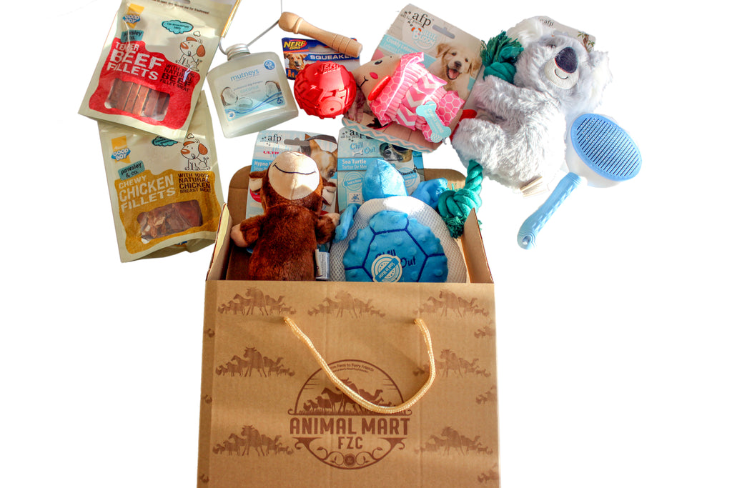 Goody Box - Holiday Dog Toys, Treats & Accessories