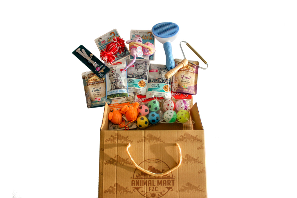 Goody Box - Holiday Cat Toys, Treats & Accessories