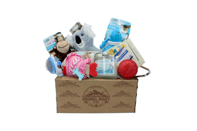 Goody Box - Holiday Dog Toys, Treats & Accessories