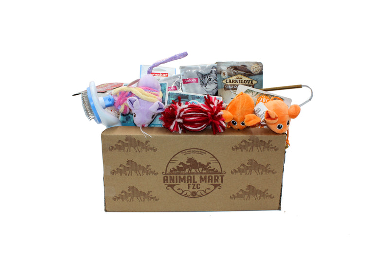 Goody Box - Holiday Cat Toys, Treats & Accessories