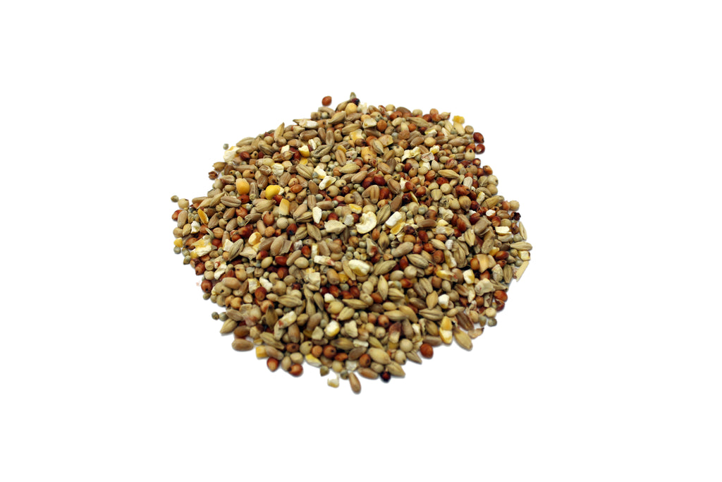 Bird Mix (Special) 20kg – Premium Seed Blend for Birds