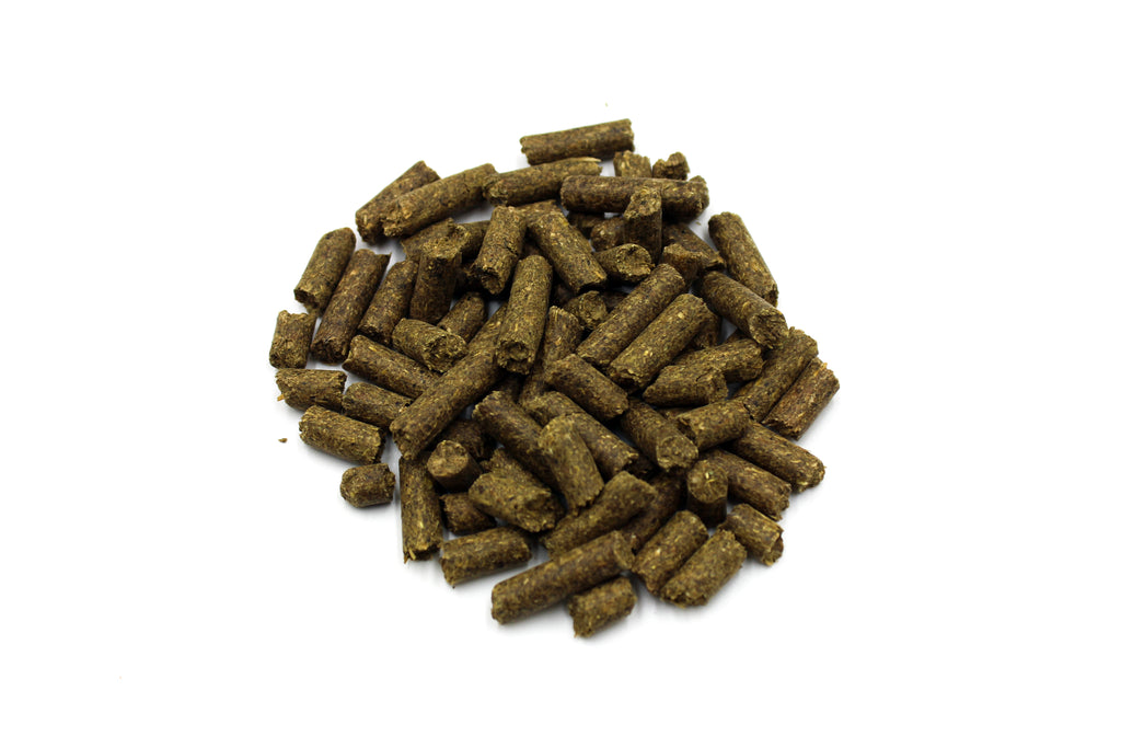 HAVENS GASTRO+ 20KG