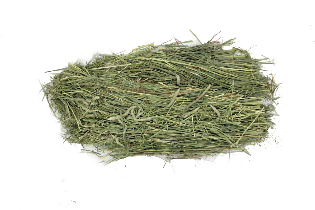 TIMOTHY HAY USA PREMIUM - 50KG