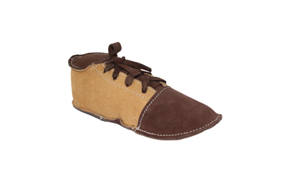 Shoe toy