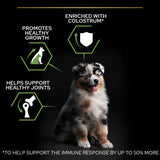 Pro Plan Medium Puppy Chicken