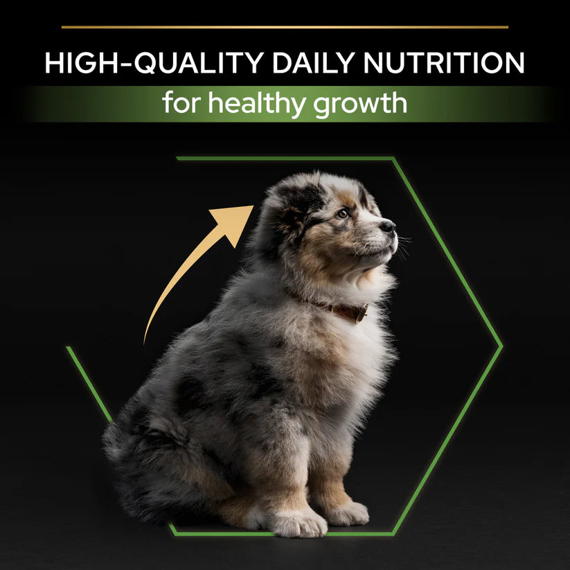 Pro Plan Medium Puppy Chicken