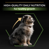 Pro Plan Medium Puppy Chicken