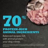 Acana Puppy Small Breed Recipe Dry Dog Food