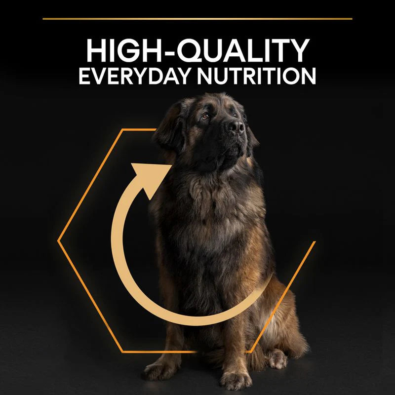 Pro Plan Large Robust Adult Dog Chicken 14kg